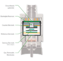 Sensor XCell® de Oxígeno (O₂) - MSA