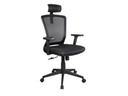 Xtech Avignon Chair Exec Black/w/arm/headrest/mesh XTF-OC414